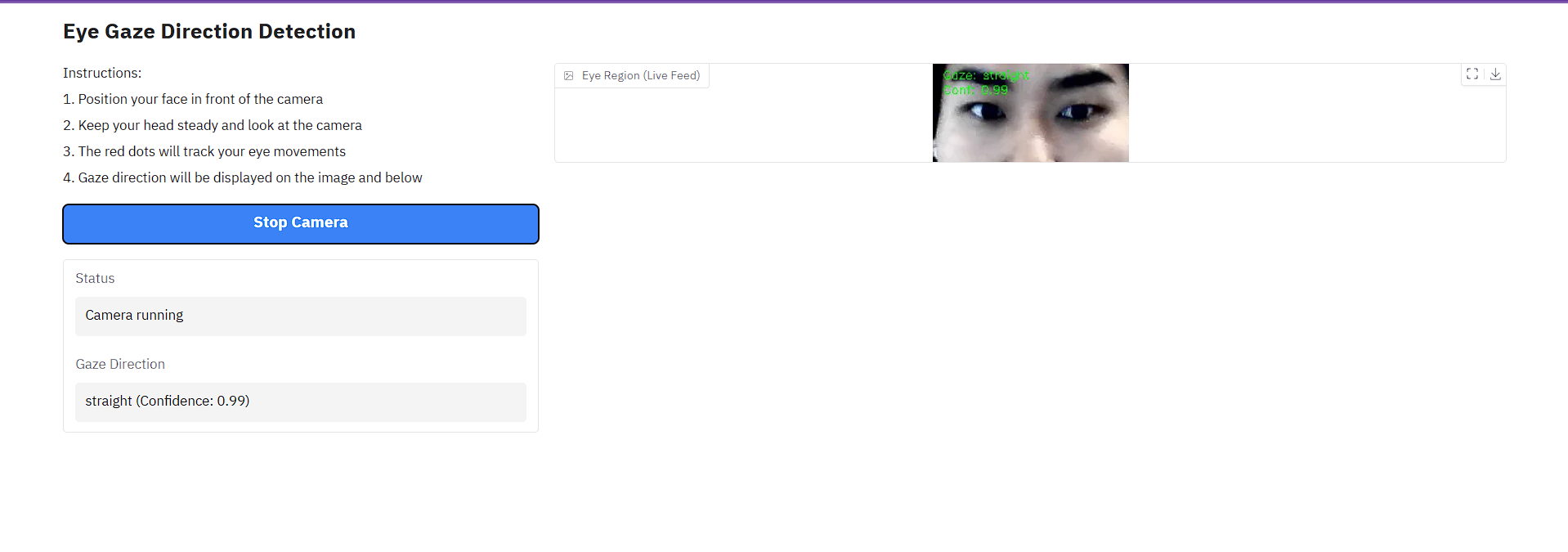 Gradio Interface
